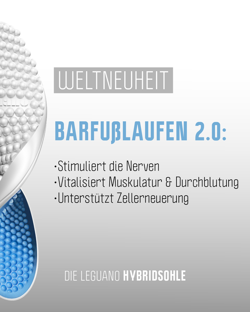 Postbeitrag_advice_leguano.PNG