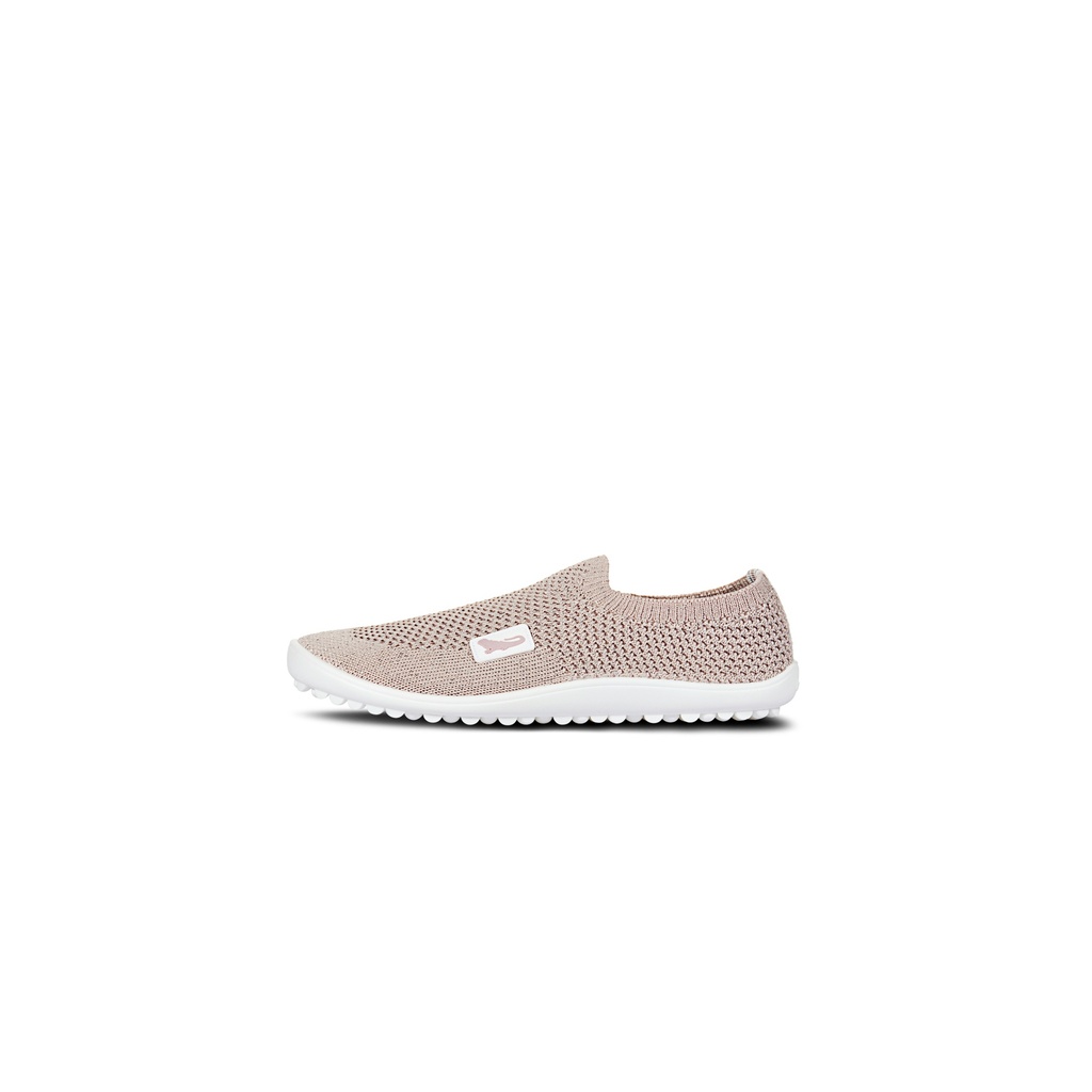 LEGUANITO scio rose