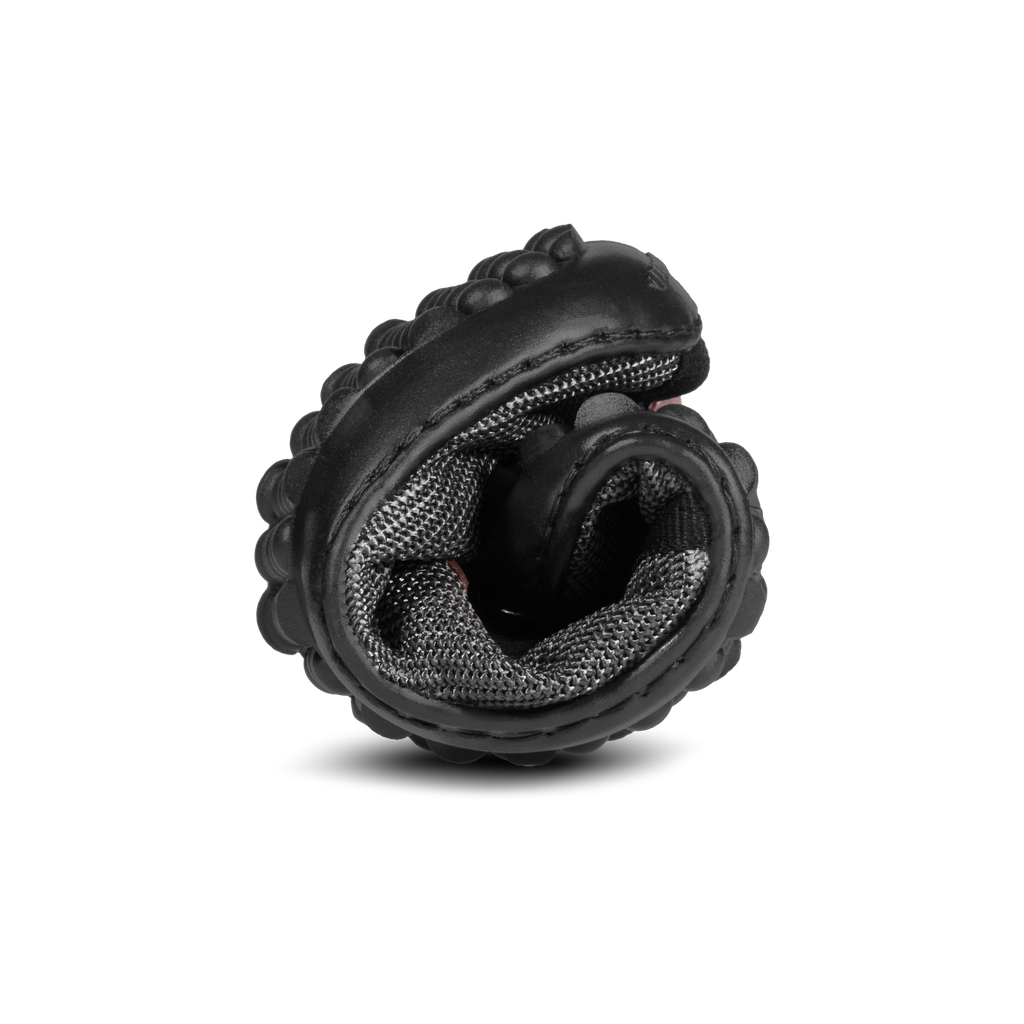 leguanito_scippo rose_Klett_09.png