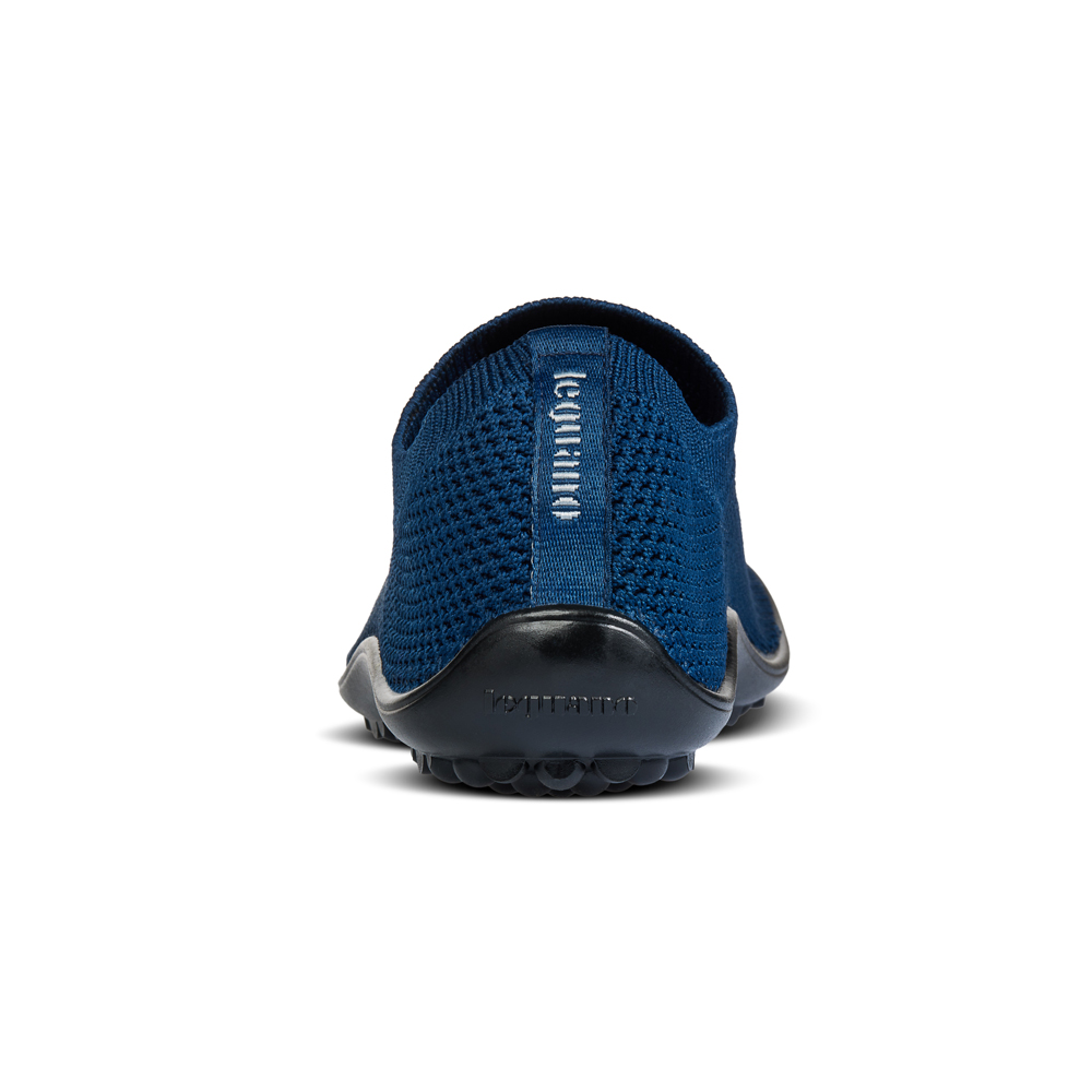 SCIO blue
