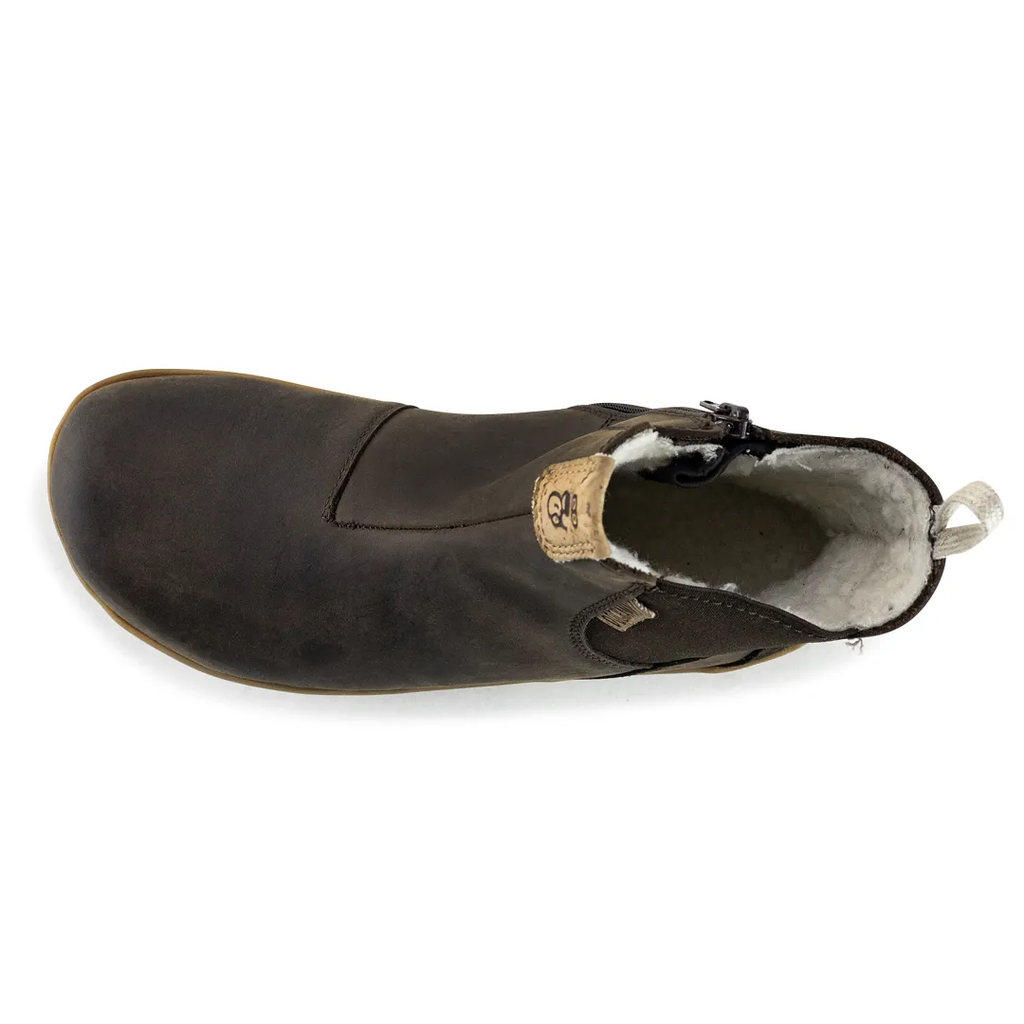 911633_Terrar_Chelsea_darkbrown_frontal_oben